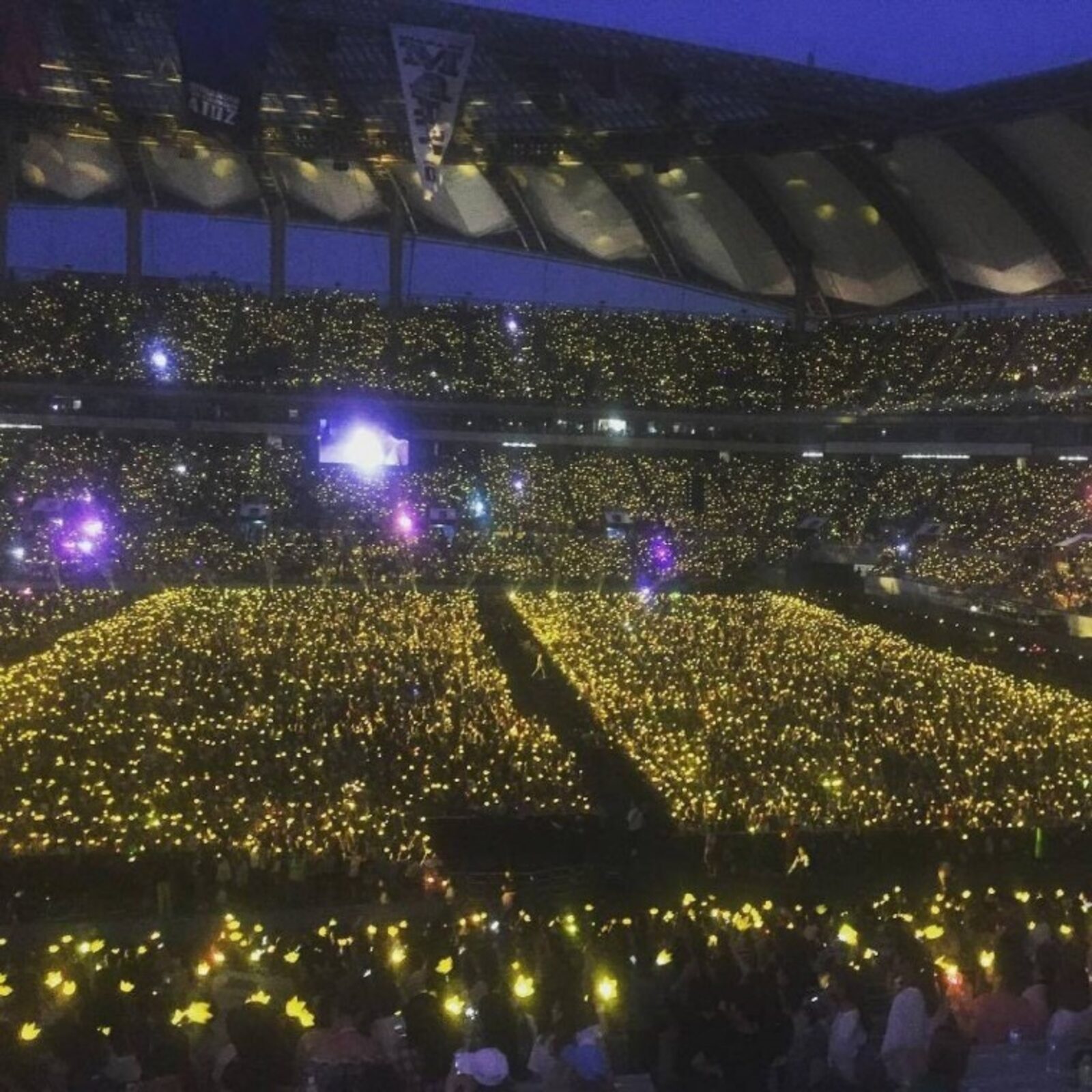 빅뱅 콘서트 관객